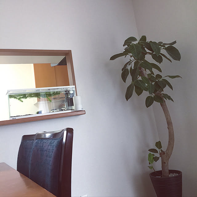MUNKO_ayuさんの実例写真