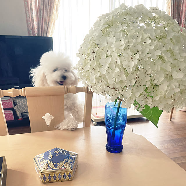 norikorinさんの実例写真