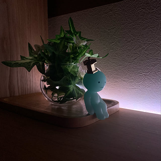 auraさんの実例写真