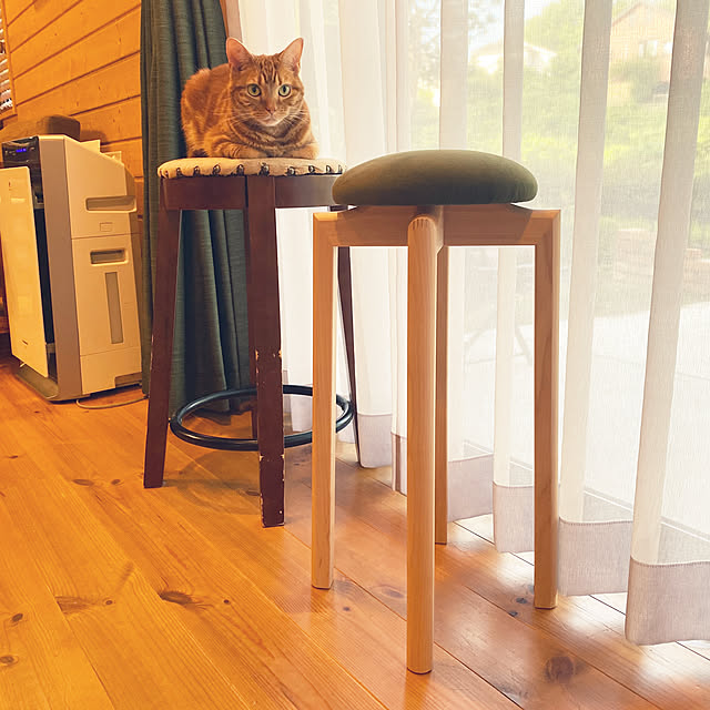 Let-s-DoDoDoさんの実例写真