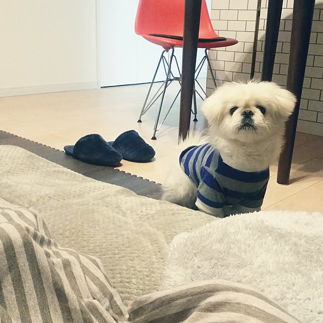 yukagomaさんの実例写真