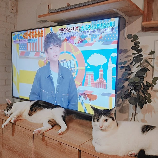 kirakirahikaruさんの実例写真