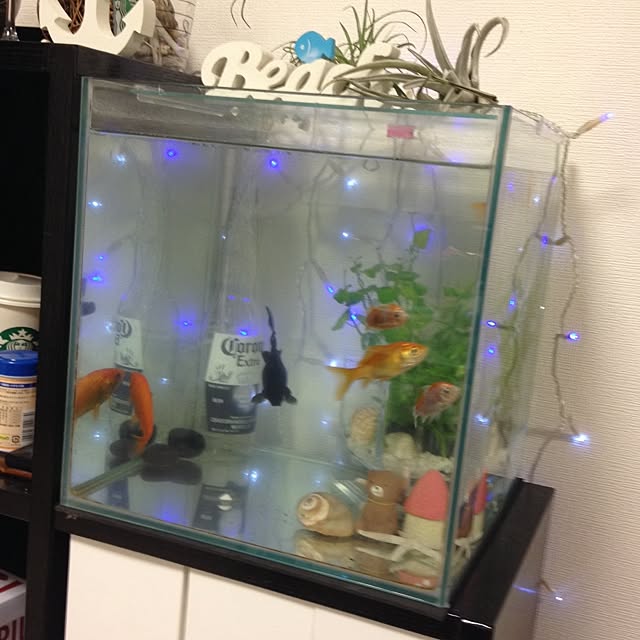 mizuさんの実例写真