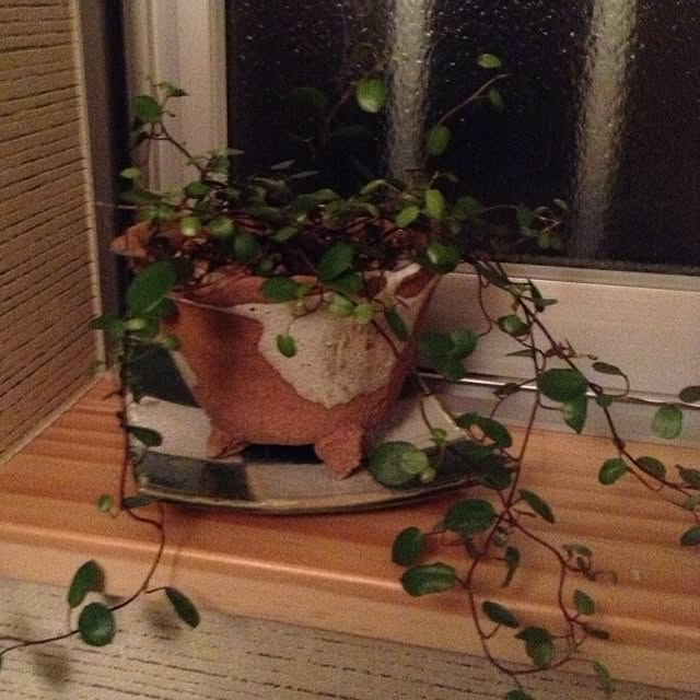 Kenroさんの実例写真
