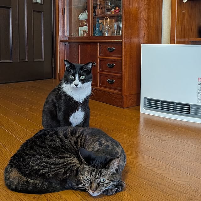 Mayumi8888さんの実例写真