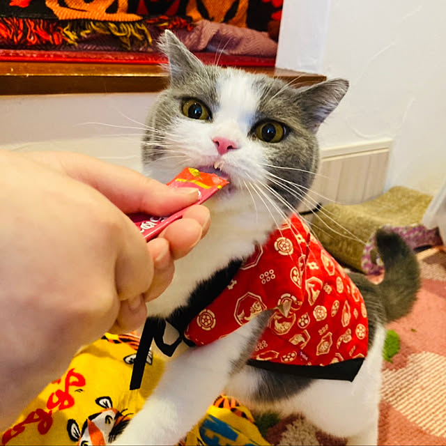 Riccoさんの実例写真