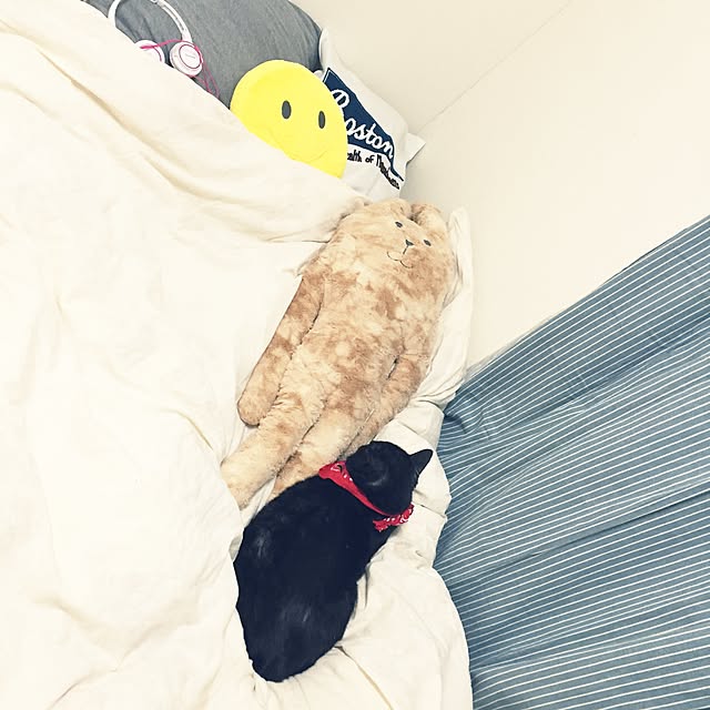 pirorikin167さんの実例写真