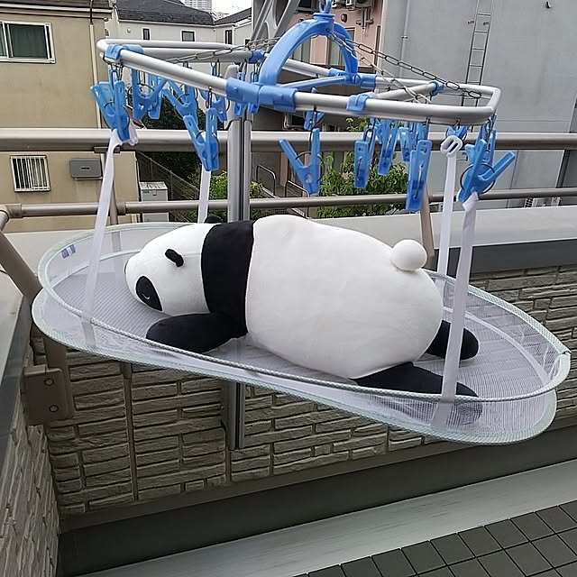 iku-yoneさんの部屋