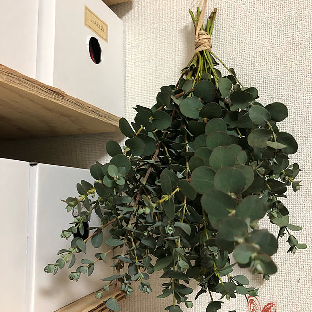 pingub_dさんの実例写真