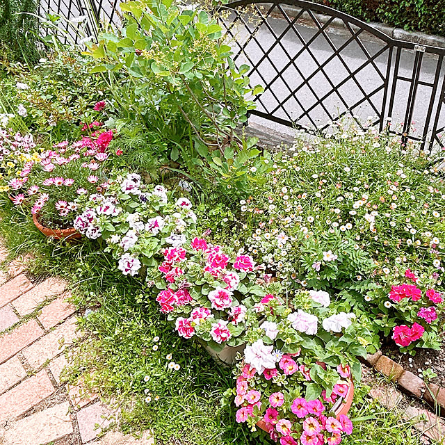 maronさんの部屋