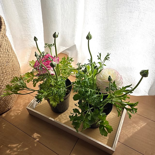 MARIE.color.interiorさんの部屋