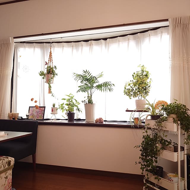 mayuroseさんの部屋