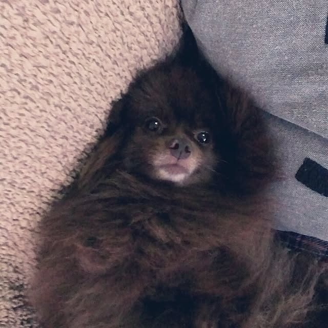 manmaru3さんの実例写真