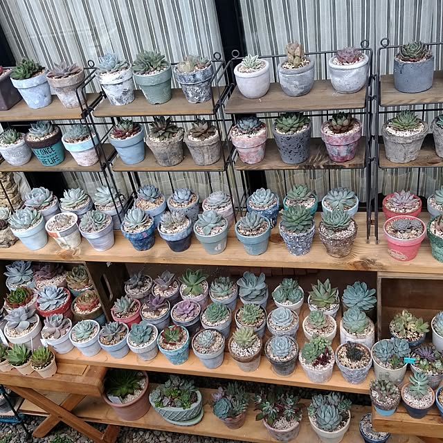 j.tさんの実例写真
