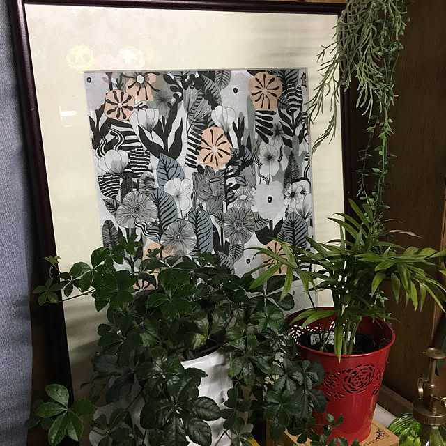 akekuroankoさんの実例写真