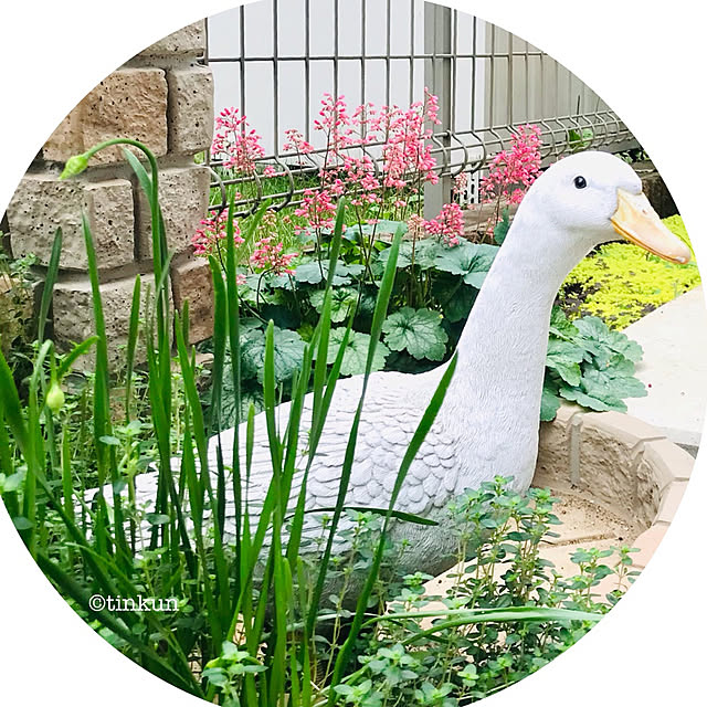 tinkunさんの実例写真