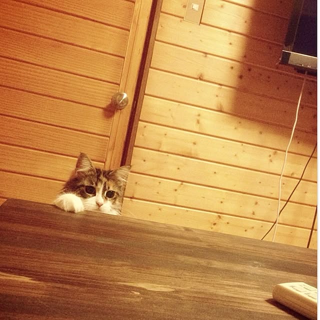 Realiser_son_reveさんの実例写真
