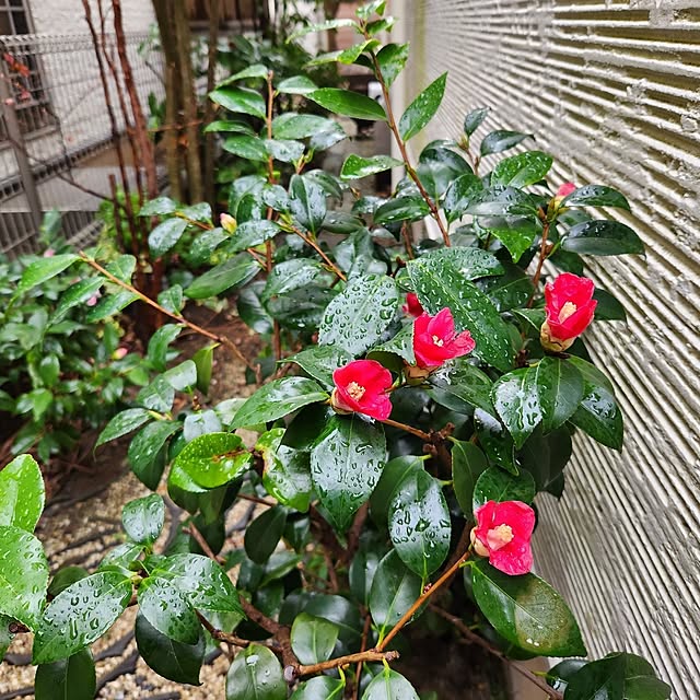 yasu10さんの部屋