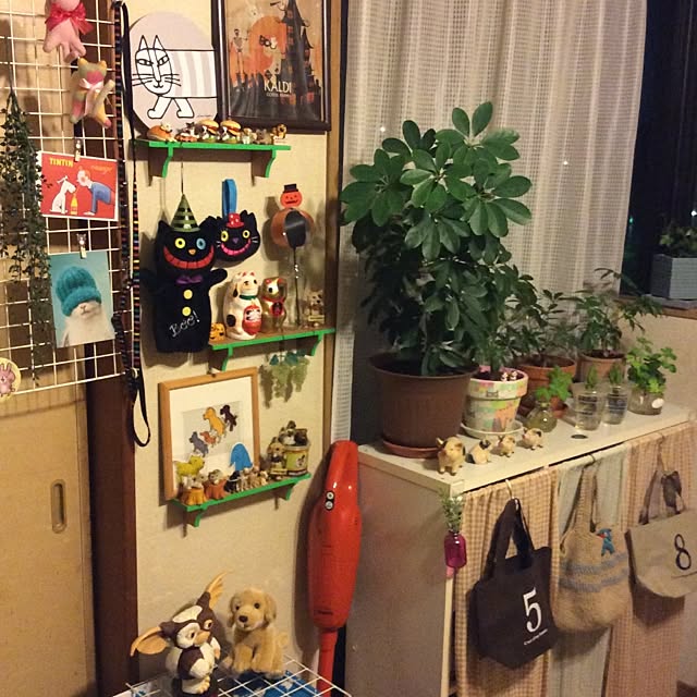 emiさんの実例写真