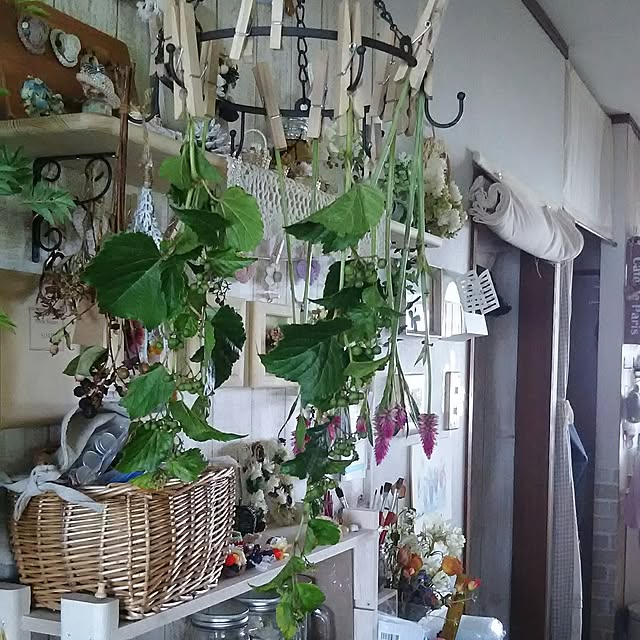 naopyiさんの実例写真