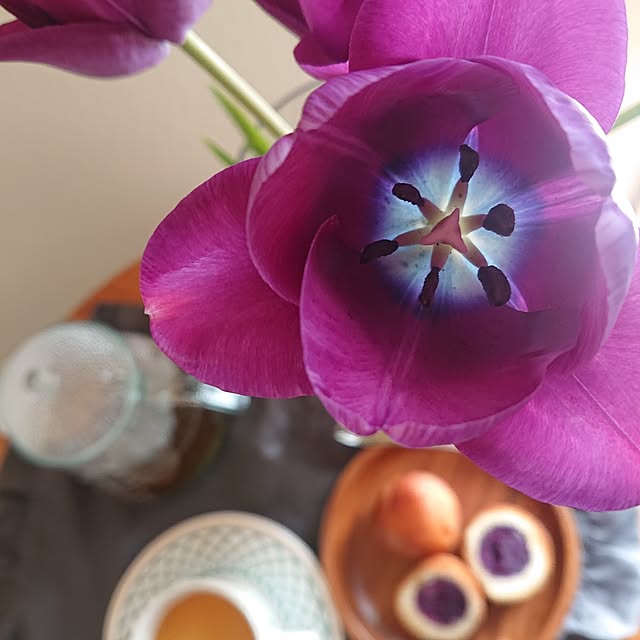 Mi-koさんの部屋