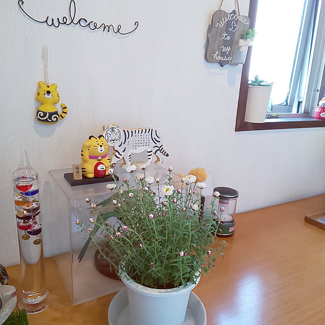 kumimmyさんの実例写真
