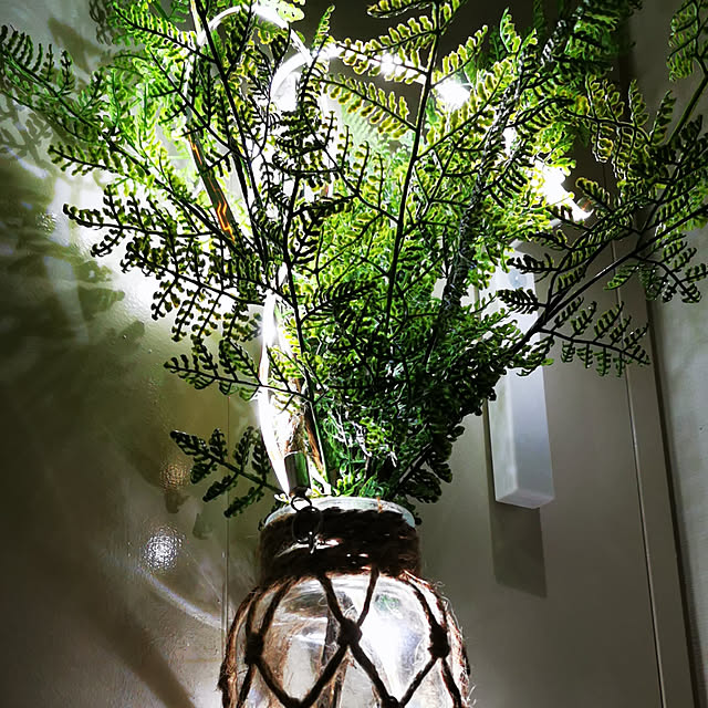 玄関/入り口/ニトリ/観葉植物/照明のインテリア実例 - 2020-07-30 00:37:57