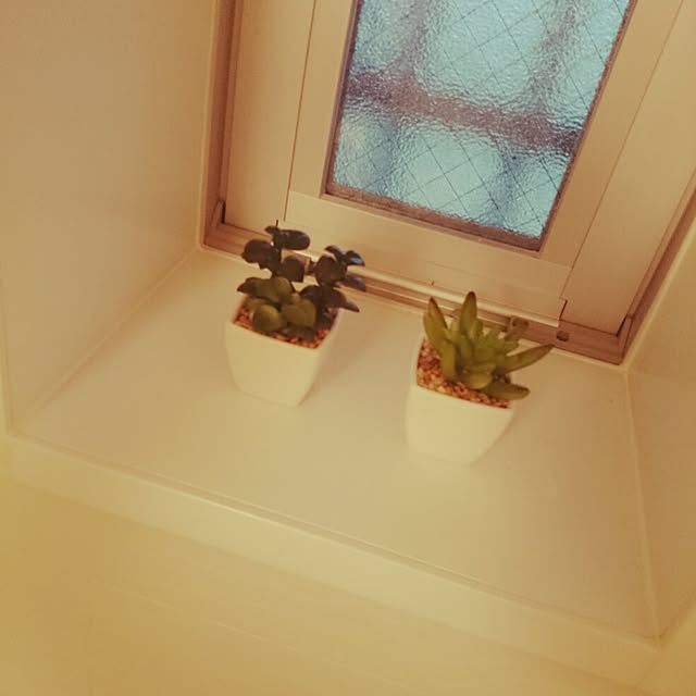 hikkaさんの実例写真