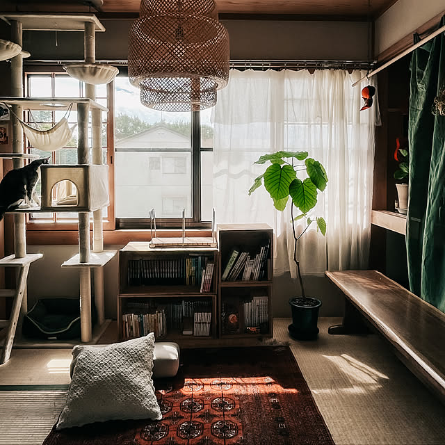a.f.さんの実例写真