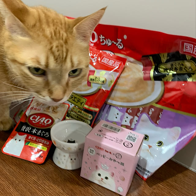 mikeume7さんの実例写真