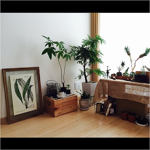 takeboo3さんの実例写真