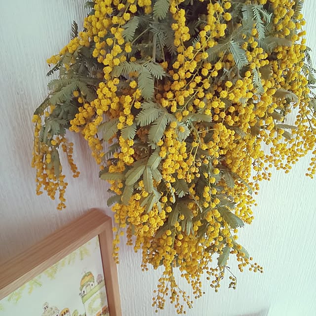 kumimmyさんの部屋
