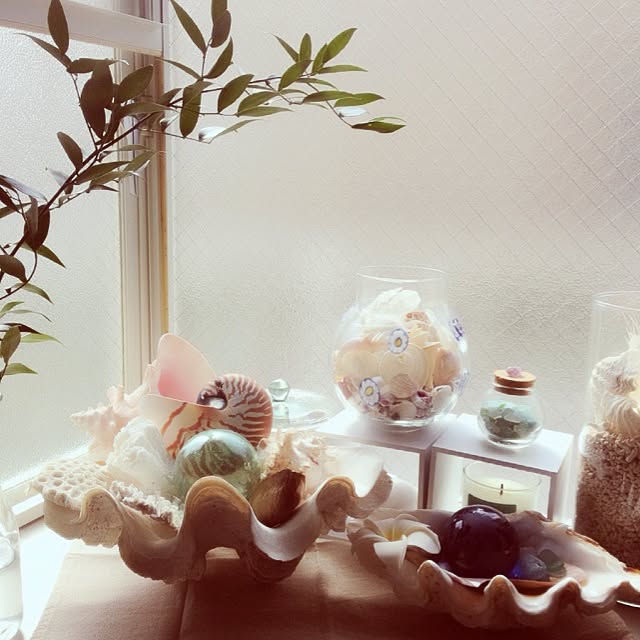 shantilifeさんの実例写真