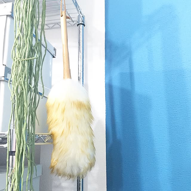 kiki_nekkoさんの実例写真
