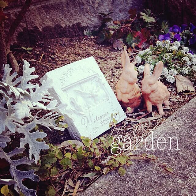 kirin.n616さんの実例写真
