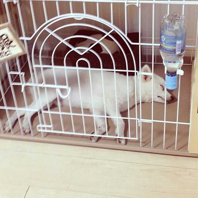 sce-27さんの実例写真