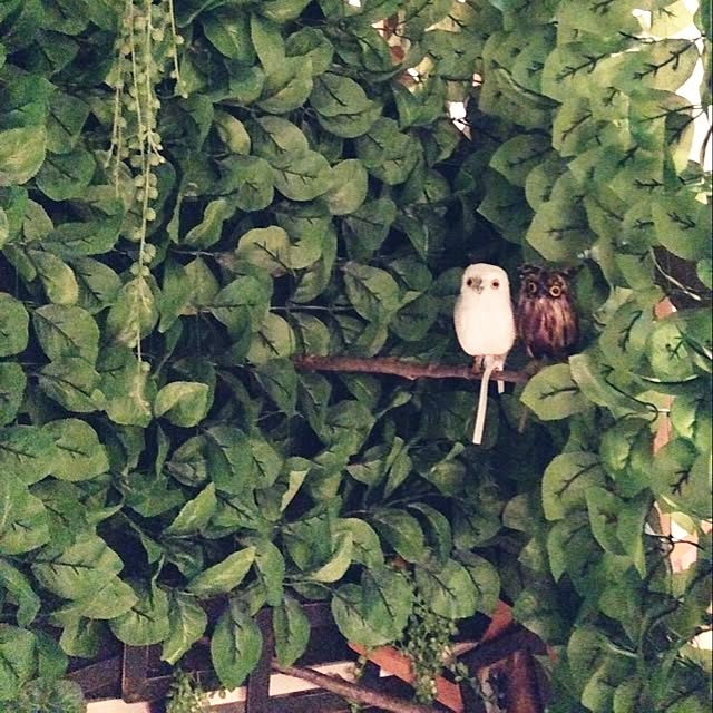 branchさんの実例写真