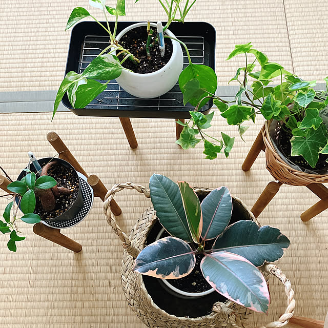Hicchomuさんの部屋