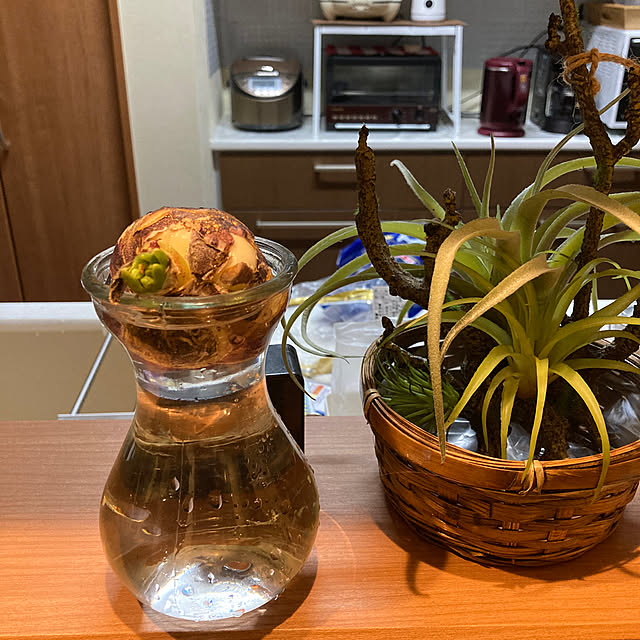 Kakegawaさんの実例写真