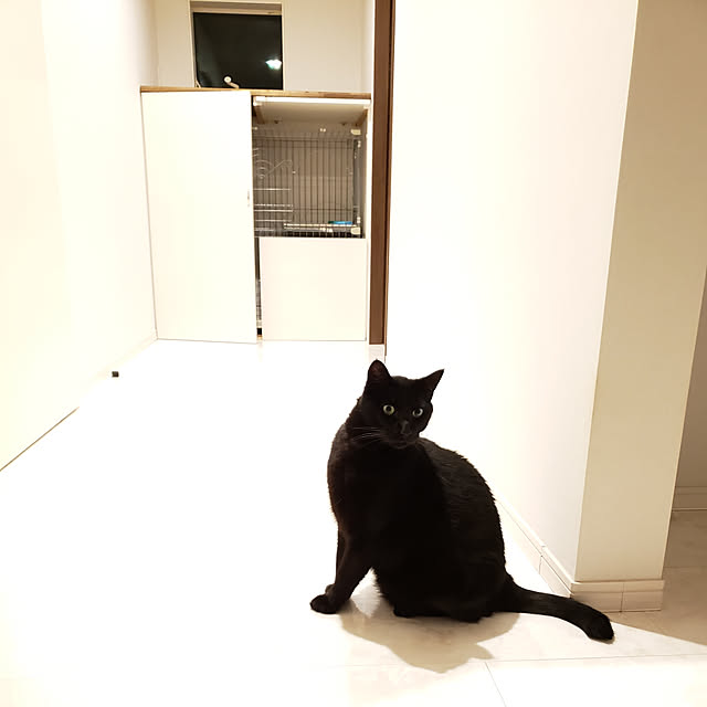 zenoさんの実例写真