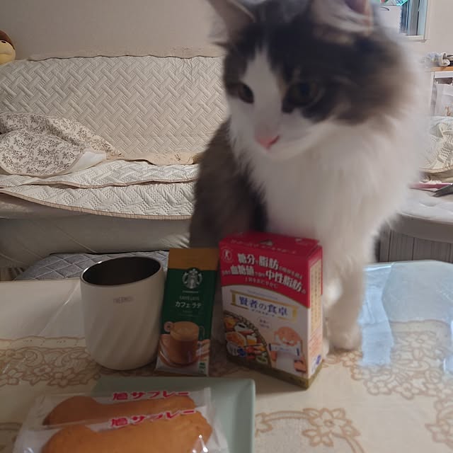 mo.a.i.さんの実例写真