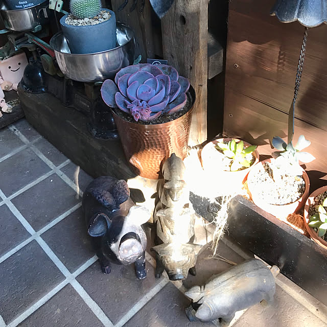 butachanさんの実例写真