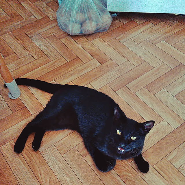 hiroさんの実例写真