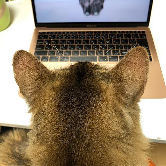 meさんの実例写真