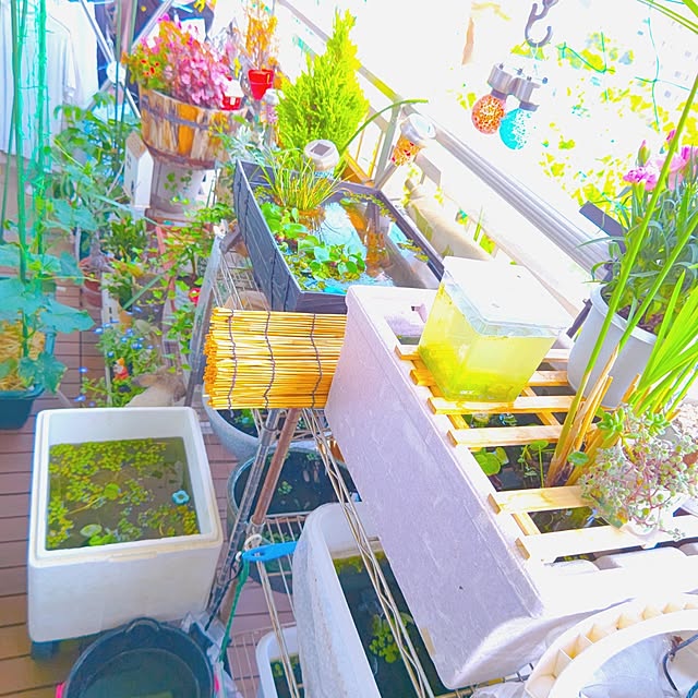 mariaさんの部屋