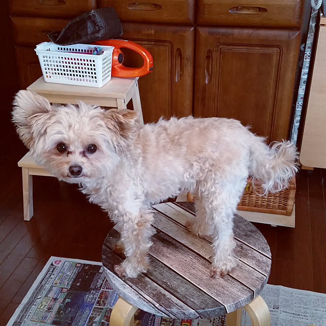 kikiさんの実例写真