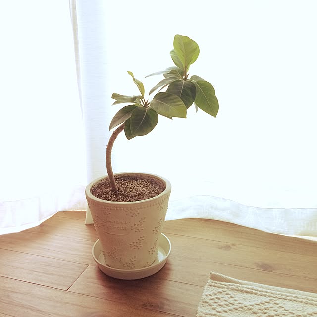 kakamiさんの実例写真