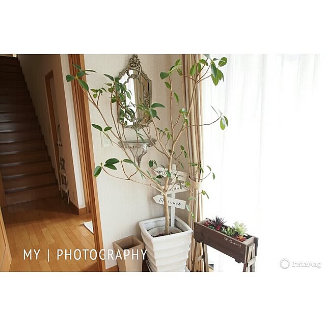 Chihiroさんの実例写真