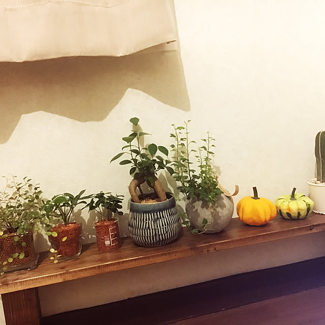 nami1759さんの実例写真