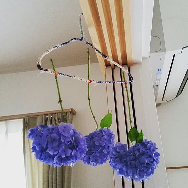 salut-yaさんの実例写真
